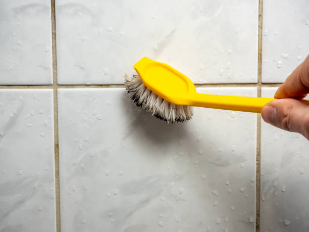 Best Best Mold Removal Companies  in Wheaton, IL