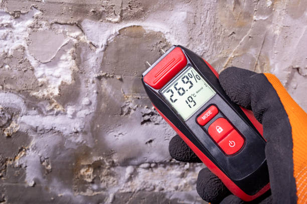 Best Water Damage Restoration  in Wheaton, IL