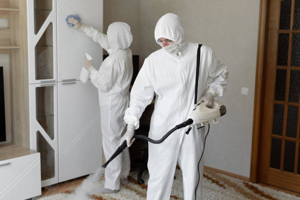 Best Certified Mold Removal  in Wheaton, IL