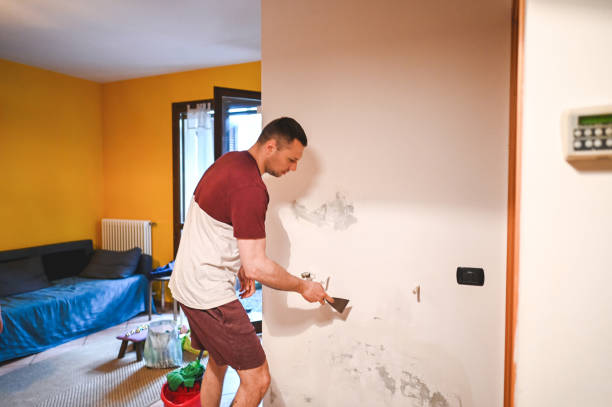 Best Same-Day Mold Removal  in Wheaton, IL